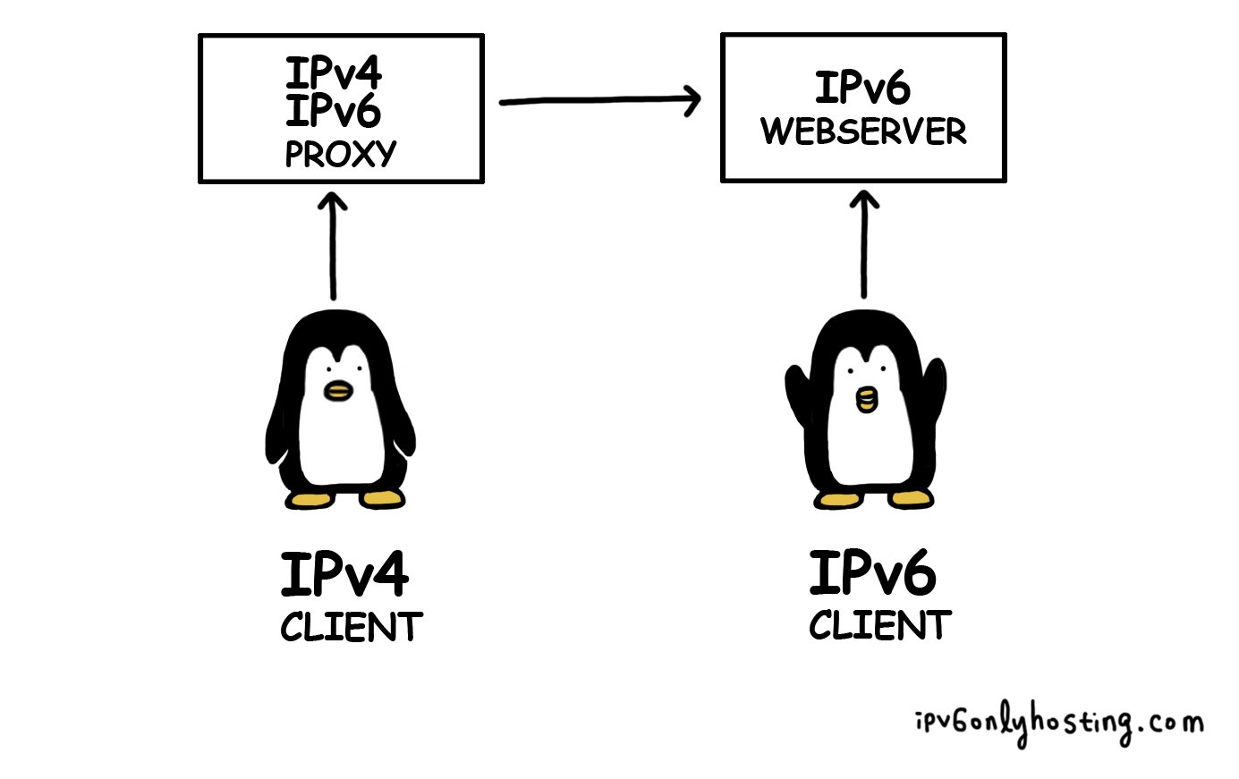ipv6-bridge-2.jpg